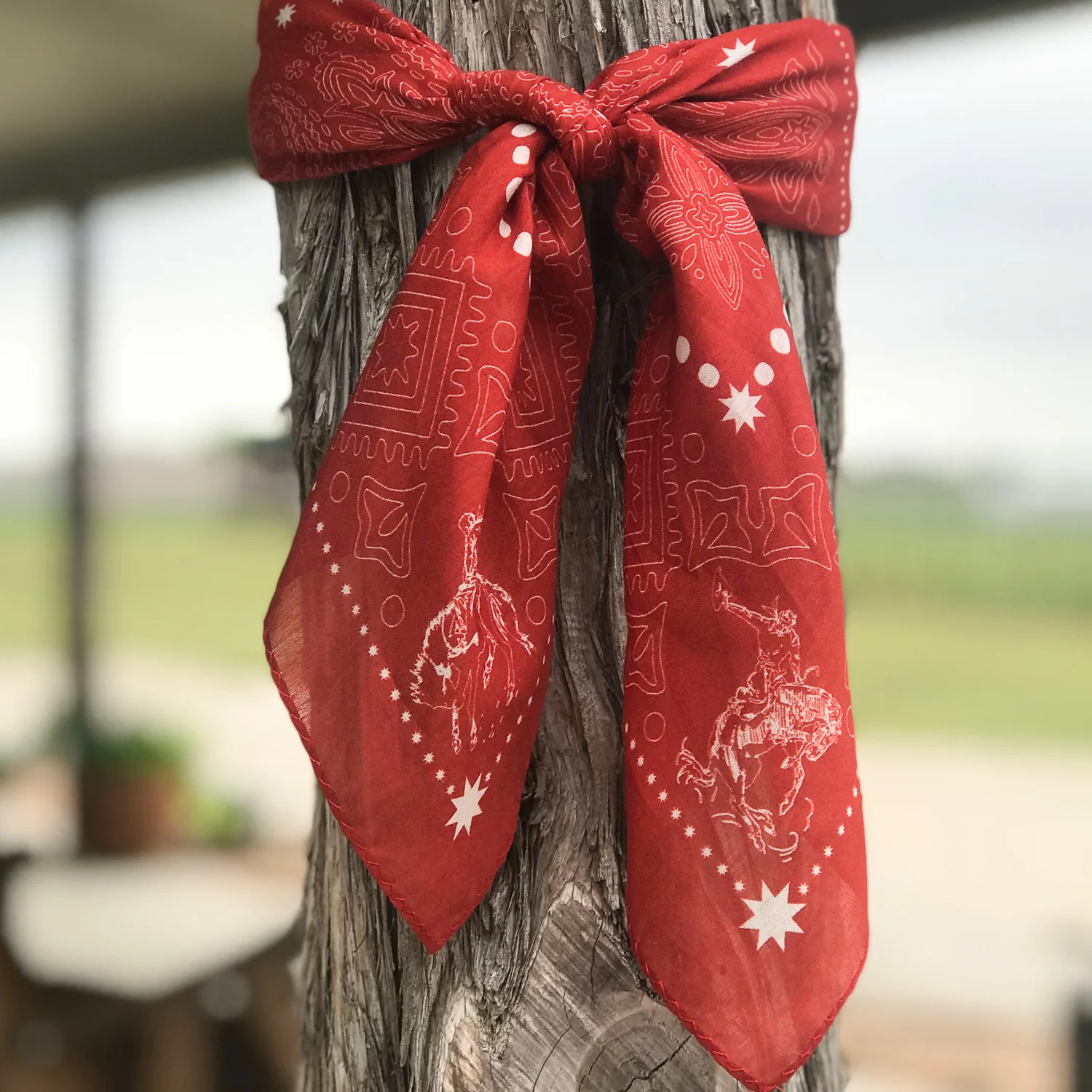 Bandito - Bandanas - Image 23