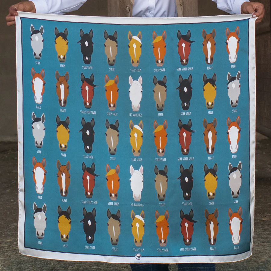 Markings - Sale - Image 3